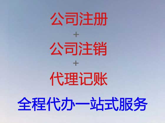 珠海公司个体户注册-公司减资变更